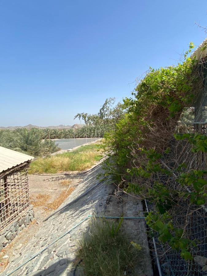 Villa Uae Farm Qur Esterno foto